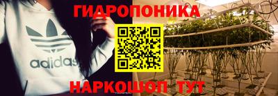 скорость Кинель